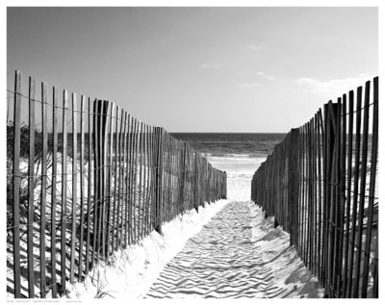 Coastal Path by Anon Wall Art Décor 11 1/2 x 14 1/2 Art Print